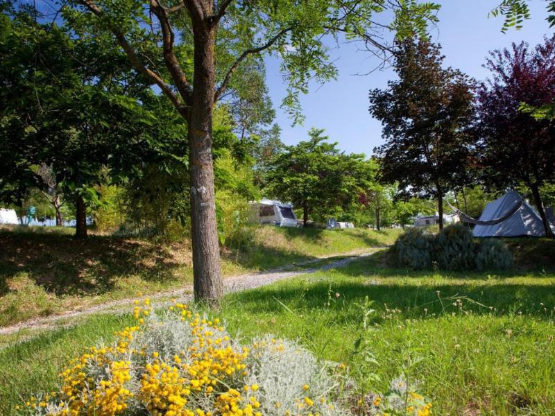 Domaine Les Chenes Blancs Hotel Saint-Saturnin-d'Apt Eksteriør billede