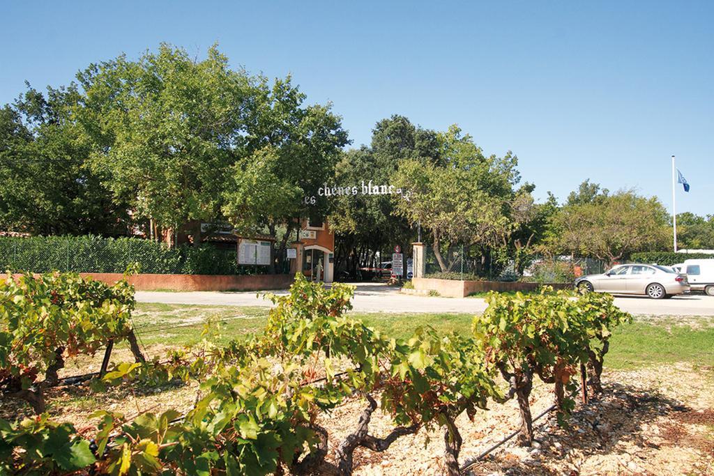 Domaine Les Chenes Blancs Hotel Saint-Saturnin-d'Apt Eksteriør billede